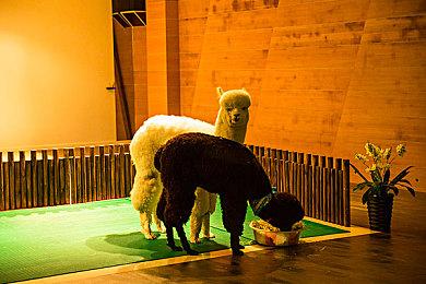 3D动作Roguelike游戏《塔楼公主》今日上线！开启你的征程吧！